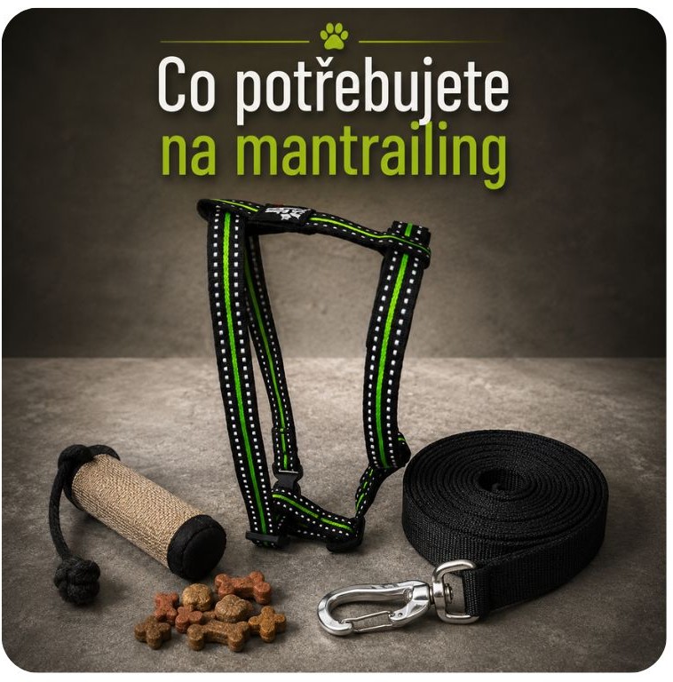 Co potřebujete na mantrailing